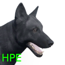 Domesticated Dog icon