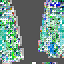 Bear Shaman Tasset icon