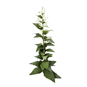 Leavening Agent icon