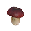 Shroom Amanita icon