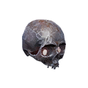 Decorative Metal skull icon