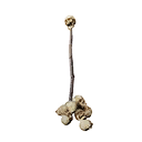 Impaled Skull icon