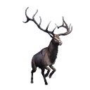 Taxidermied Elk icon