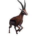 Taxidermied Gazelle icon