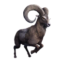 Taxidermied Mountain Goat icon