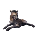 Taxidermied Hyena icon