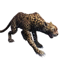 Taxidermied Jaguar icon