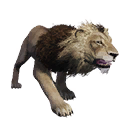 Taxidermied Lion icon
