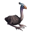 Taxidermied Ostrich icon