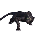 Taxidermied Panther icon