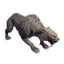 Taxidermied Sabretooth icon