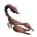 Taxidermied Scorpion icon