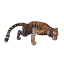Taxidermied Tiger icon