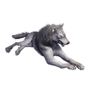 Taxidermied Wolf icon