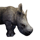 Rhino Calf icon