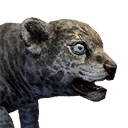 Sabretooth Kitten icon