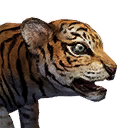Tiger Cub icon