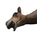 Camel Carcass icon
