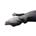 Crocodile Carcass icon