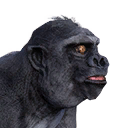 Gorilla Infant icon