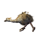 Ostrich Carcass icon