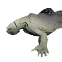 Shaleback Carcass icon