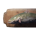 Catfish Trophy icon