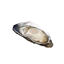 Cooked Oyster icon