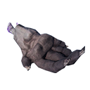 Devolved Bat Claw icon