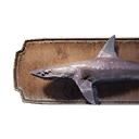 Dogfish Trophy icon