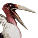 Siptah Pelican icon