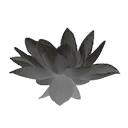 Grey Lotus Flower icon