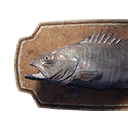 Grouper Trophy icon