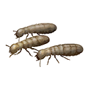 Handful of Insects icon