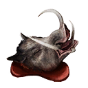 Wild Boar Head icon