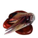 Pelican Head icon