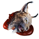 Lynx Head icon