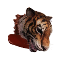 Tiger Head icon