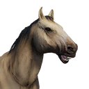 Horse icon