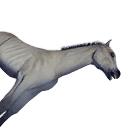 Horse Carcass icon