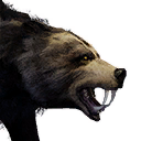 Greater Bear icon
