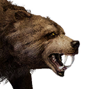 Tamed Bear icon
