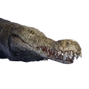 Greater Crocodile icon