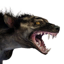 Greater Hyena icon