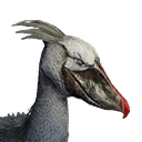 Shoebill icon