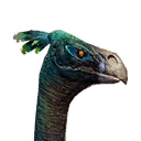 Ostrich icon