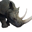 Rhinoceros icon