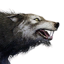 Wolf icon