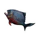 Unappetizing Fish icon