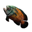 Savory Fish icon